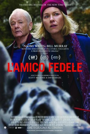 locandina: L'amico fedele