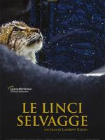 Le linci selvagge