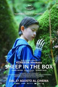 Sheep in the box
