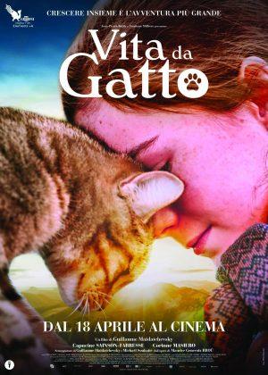 Vita da gatto