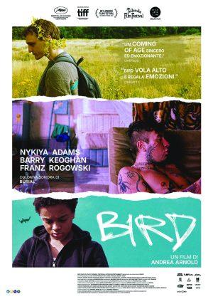 Bird