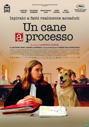 Un cane a processo