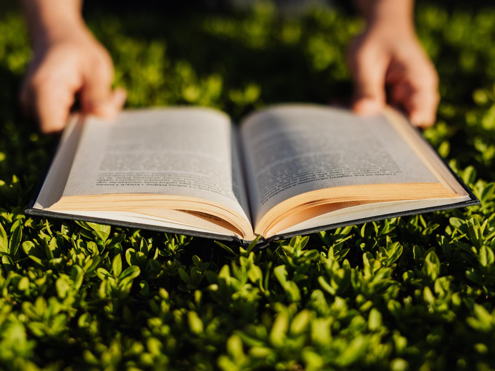 Arriva il Bibliobus 2026 — All'aperto a Brescia, 22 aprile – 16 settembre