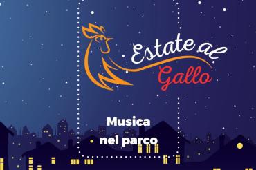 Estate al gallo