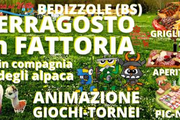 Ferragosto in fattoria con animazione e alpaca