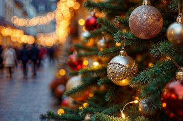 Stelle Di Natale 2025