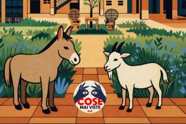 Cose Mai Viste, Mostra mercato della creatività