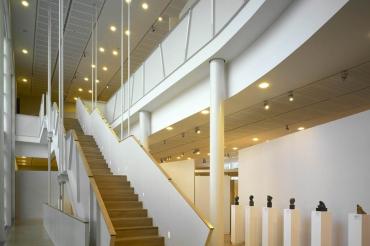 Visita guidata gratuita alla Collezione