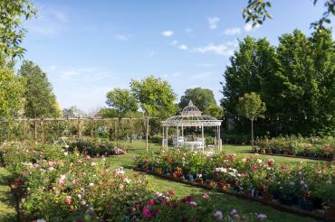 Rigoletto Teatro Grande Brescia