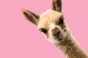 Rigoletto Teatro Grande Brescia