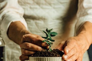 Rigoletto Teatro Grande Brescia