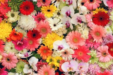 Rigoletto Teatro Grande Brescia